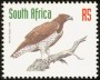 动物:非洲:南非:za199817.jpg
