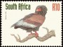 动物:非洲:南非:za199818.jpg