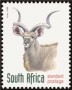 动物:非洲:南非:za199823.jpg