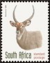 动物:非洲:南非:za199825.jpg