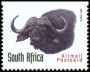 动物:非洲:南非:za199827.jpg