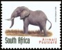 动物:非洲:南非:za199830.jpg