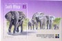 动物:非洲:南非:za199912.jpg