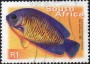 动物:非洲:南非:za200026.jpg