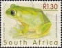 动物:非洲:南非:za200034.jpg
