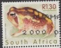 动物:非洲:南非:za200035.jpg