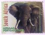 动物:非洲:南非:za200101.jpg