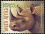 动物:非洲:南非:za200103.jpg