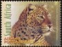 动物:非洲:南非:za200104.jpg