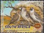 动物:非洲:南非:za200108.jpg