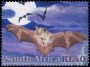动物:非洲:南非:za200118.jpg
