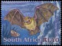 动物:非洲:南非:za200121.jpg