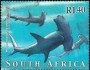 动物:非洲:南非:za200128.jpg