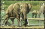 动物:非洲:南非:za200301.jpg