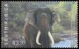 动物:非洲:南非:za200302.jpg