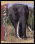 动物:非洲:南非:za200603.jpg