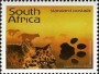 动物:非洲:南非:za200612.jpg