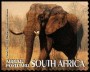 动物:非洲:南非:za200706.jpg
