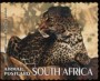 动物:非洲:南非:za200707.jpg