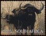 动物:非洲:南非:za200708.jpg