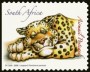 动物:非洲:南非:za200809.jpg