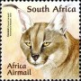 动物:非洲:南非:za201102.jpg