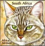 动物:非洲:南非:za201105.jpg