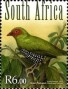动物:非洲:南非:za201106.jpg