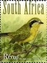 动物:非洲:南非:za201107.jpg