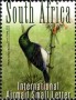 动物:非洲:南非:za201211.jpg