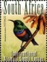 动物:非洲:南非:za201213.jpg