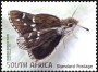 动物:非洲:南非:za201307.jpg