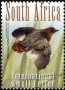 动物:非洲:南非:za201415.jpg