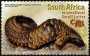 动物:非洲:南非:za201601.jpg