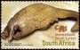 动物:非洲:南非:za201604.jpg