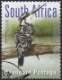 动物:非洲:南非:za201607.jpg