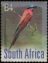 动物:非洲:南非:za201703.jpg