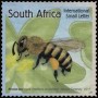 动物:非洲:南非:za201706.jpg