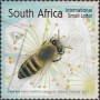动物:非洲:南非:za201707.jpg