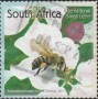 动物:非洲:南非:za201708.jpg