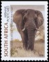 动物:非洲:南非:za201802.jpg