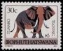 动物:非洲:博普塔茨瓦纳:bp197714.jpg