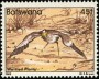 动物:非洲:博茨瓦纳:bw198215.jpg