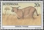 动物:非洲:博茨瓦纳:bw198711.jpg
