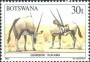动物:非洲:博茨瓦纳:bw198713.jpg