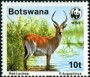 动物:非洲:博茨瓦纳:bw198801.jpg