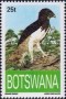 动物:非洲:博茨瓦纳:bw199302.jpg