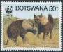 动物:非洲:博茨瓦纳:bw199502.jpg