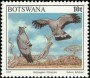 动物:非洲:博茨瓦纳:bw199702.jpg