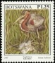 动物:非洲:博茨瓦纳:bw199713.jpg
